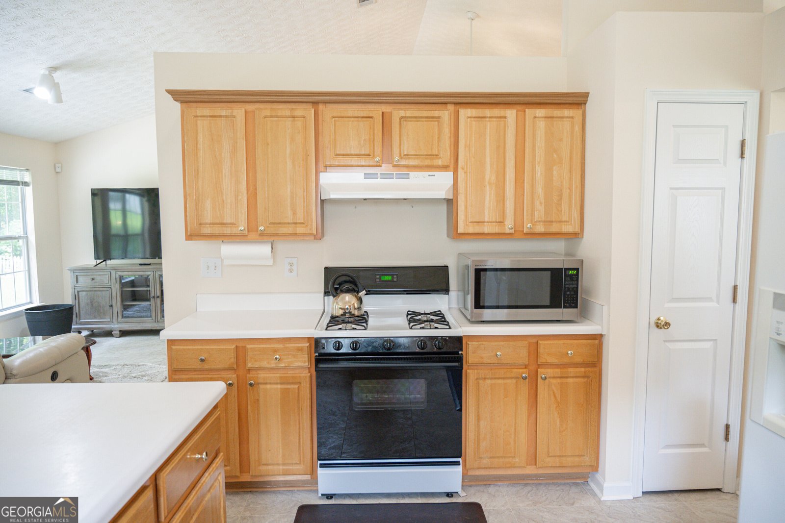 2407 Cove Lake Way Lithonia - 9