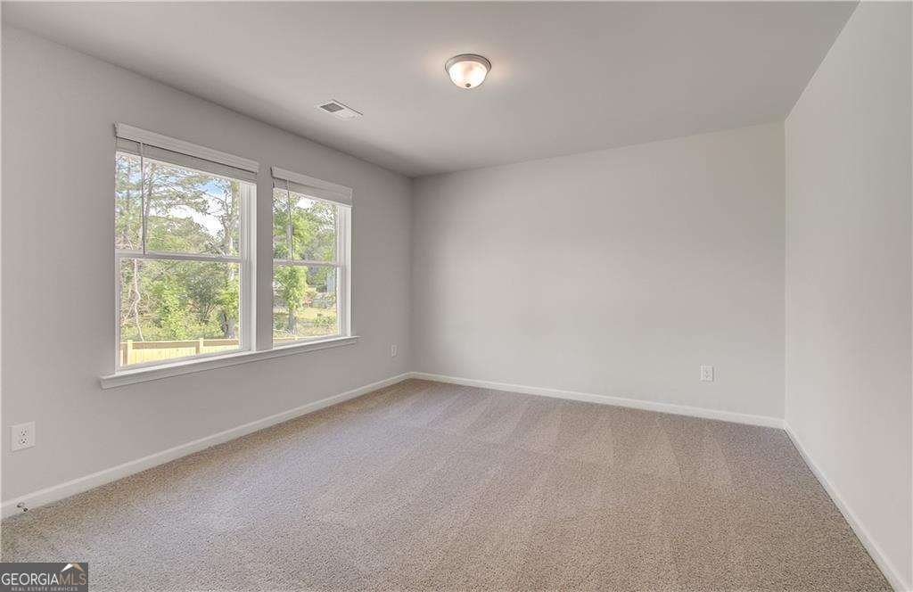 636 Leafy Branch Way Mcdonough - 19
