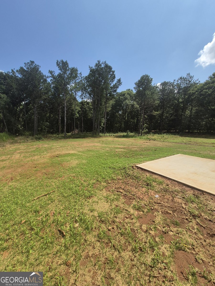 4595 Lexington Road Athens - 10