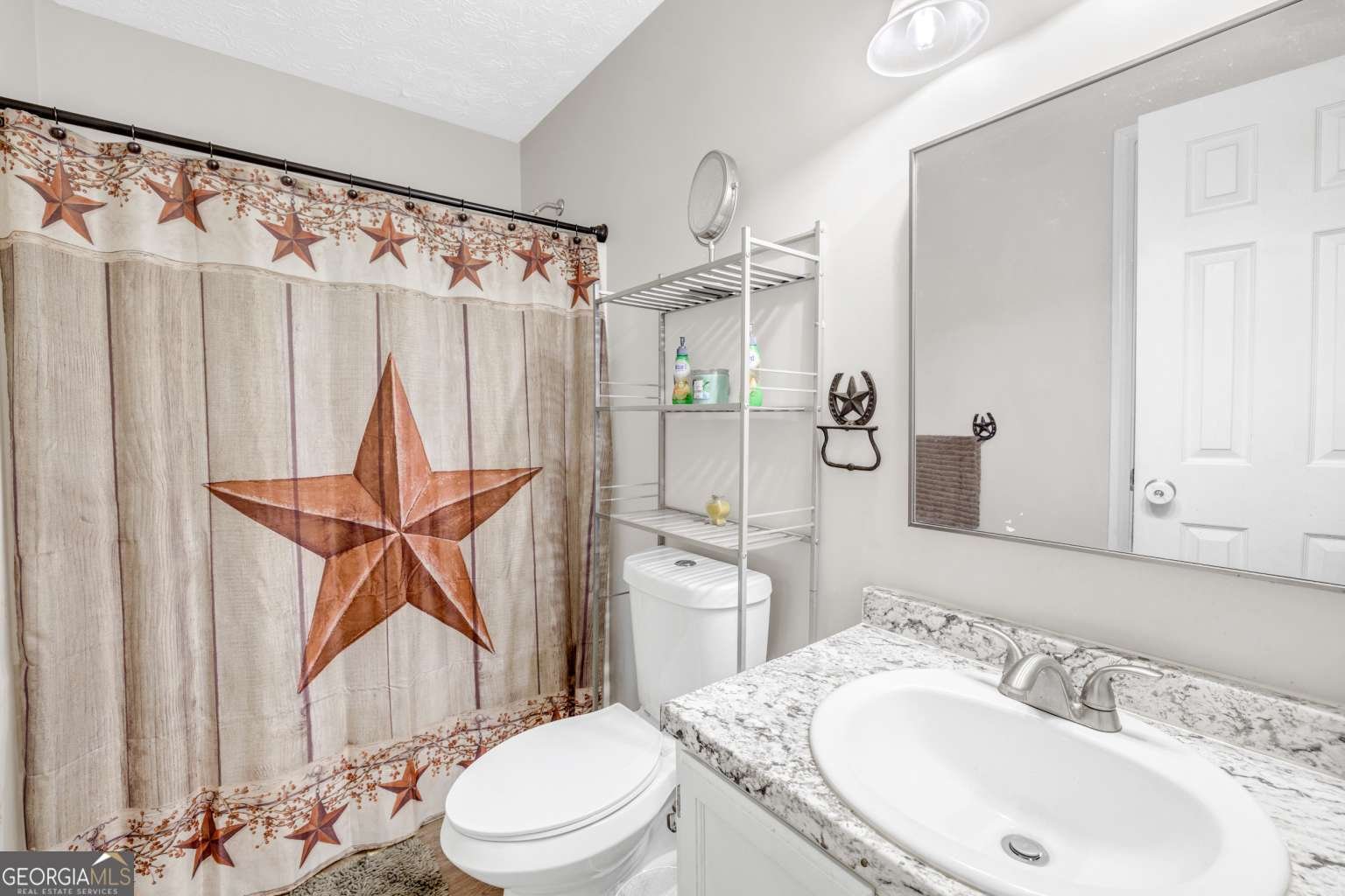 1201 Sid Hunter Road Senoia - 21
