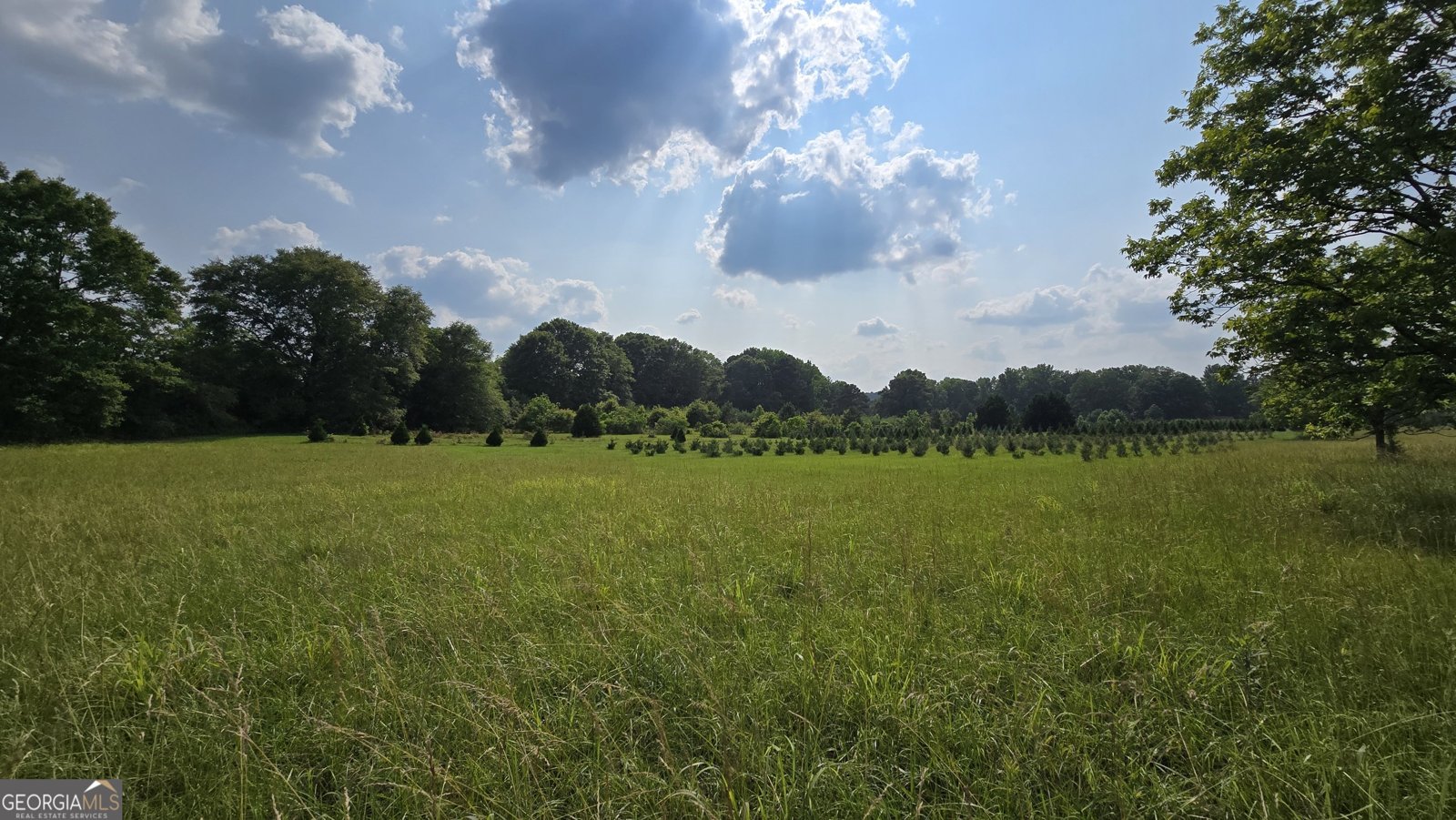 2037 Jeff Davis Road Thomaston - 30