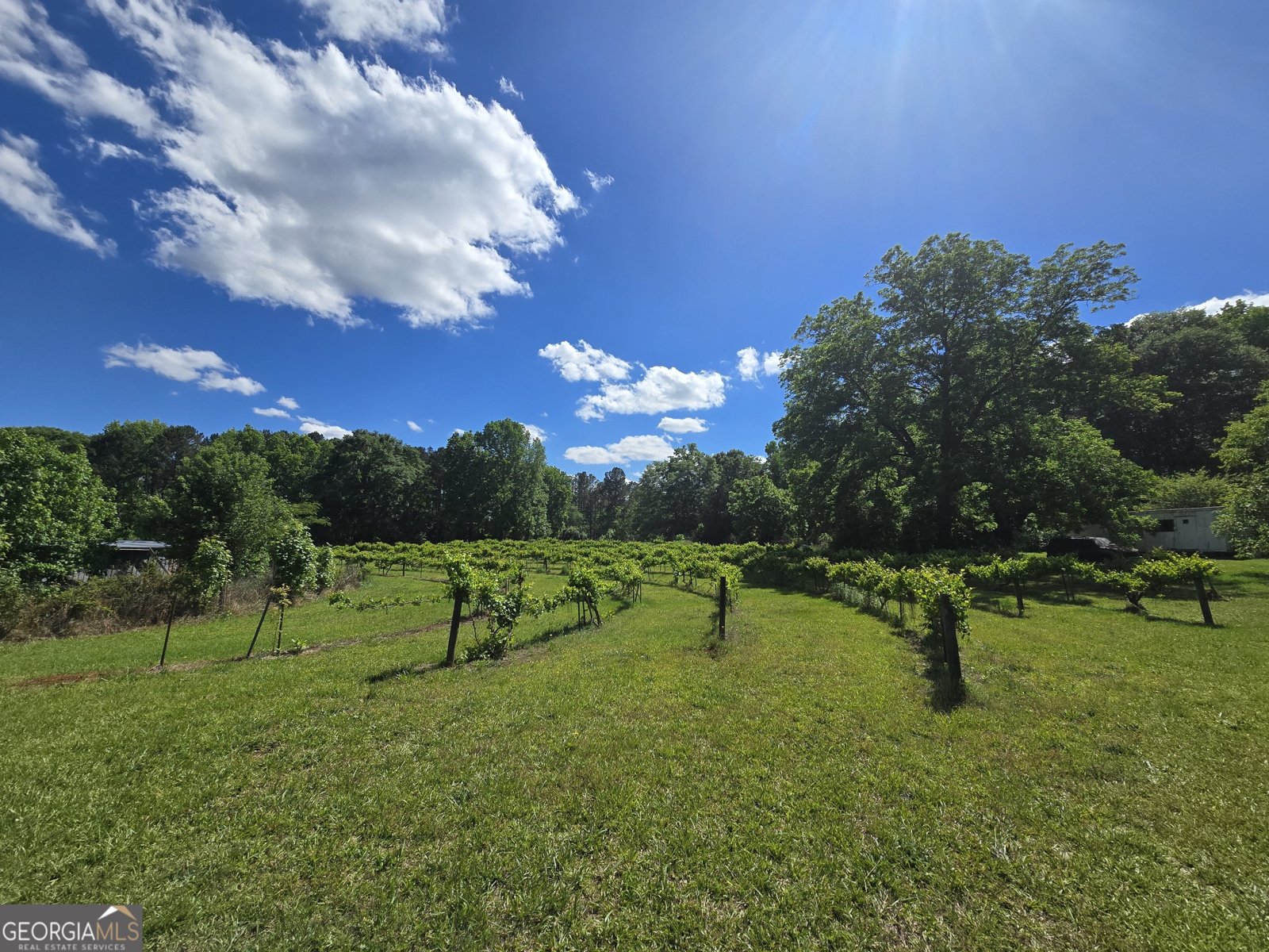 2037 Jeff Davis Road Thomaston - 32