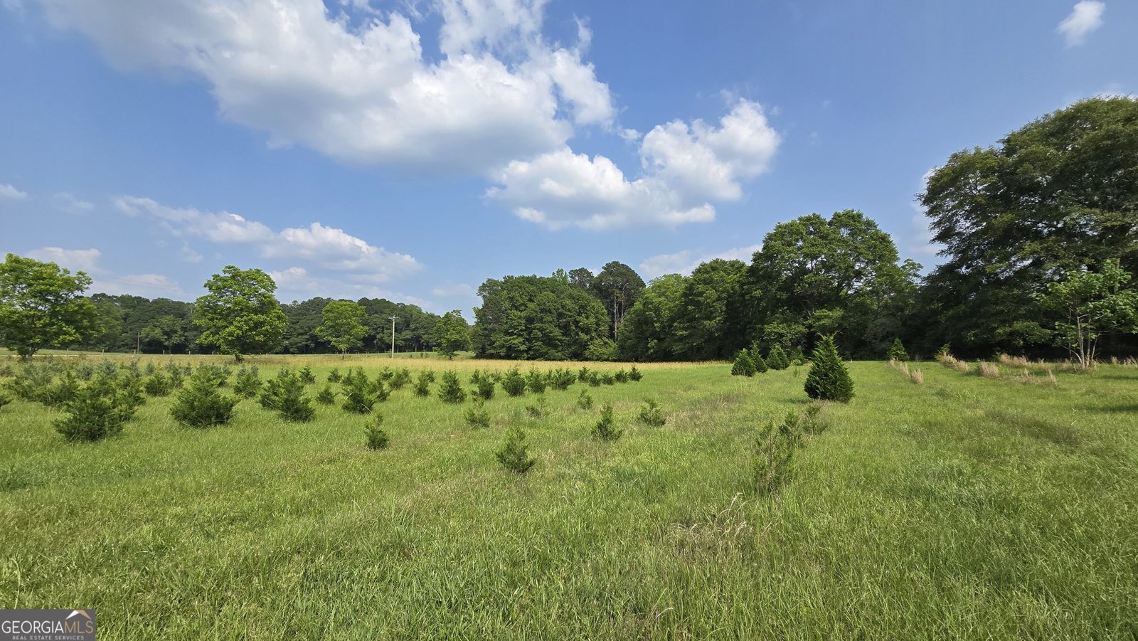 2037 Jeff Davis Road Thomaston - 34