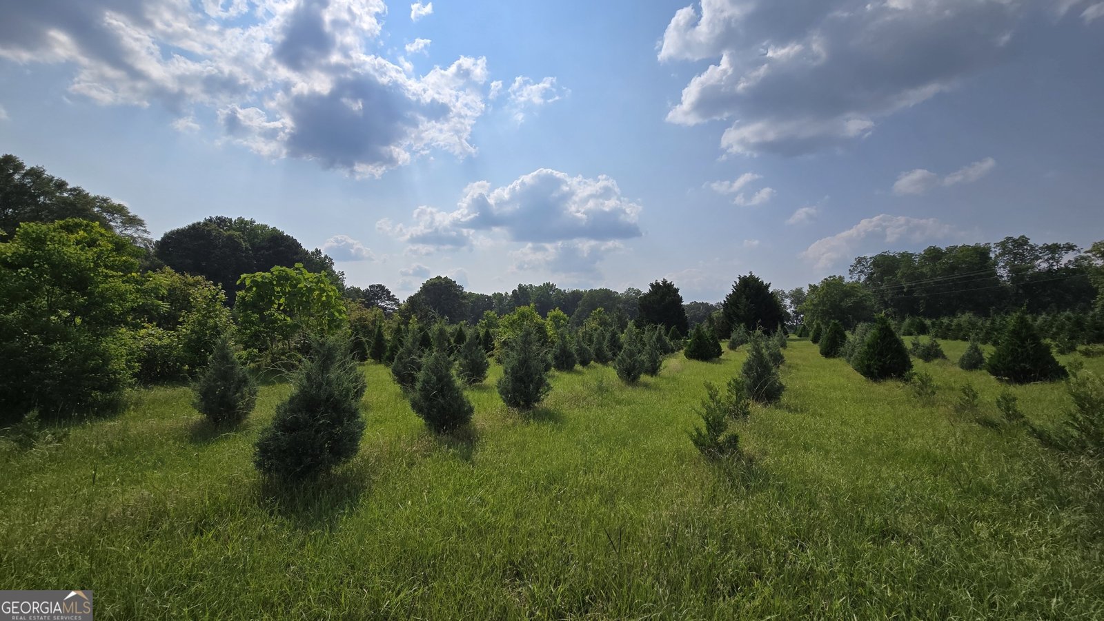 2037 Jeff Davis Road Thomaston - 35