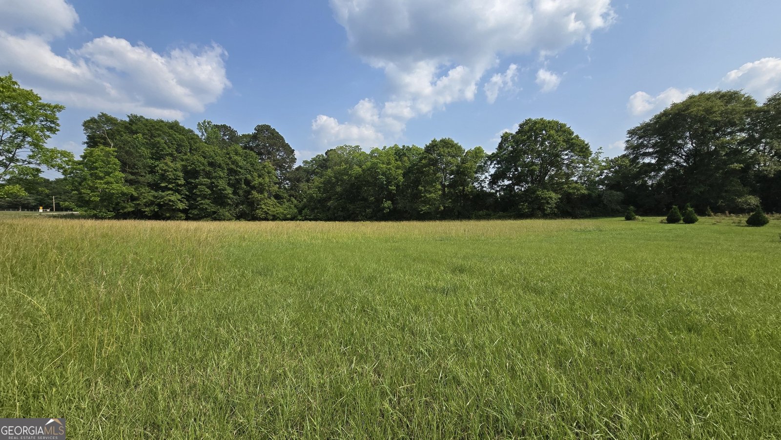 2037 Jeff Davis Road Thomaston - 36