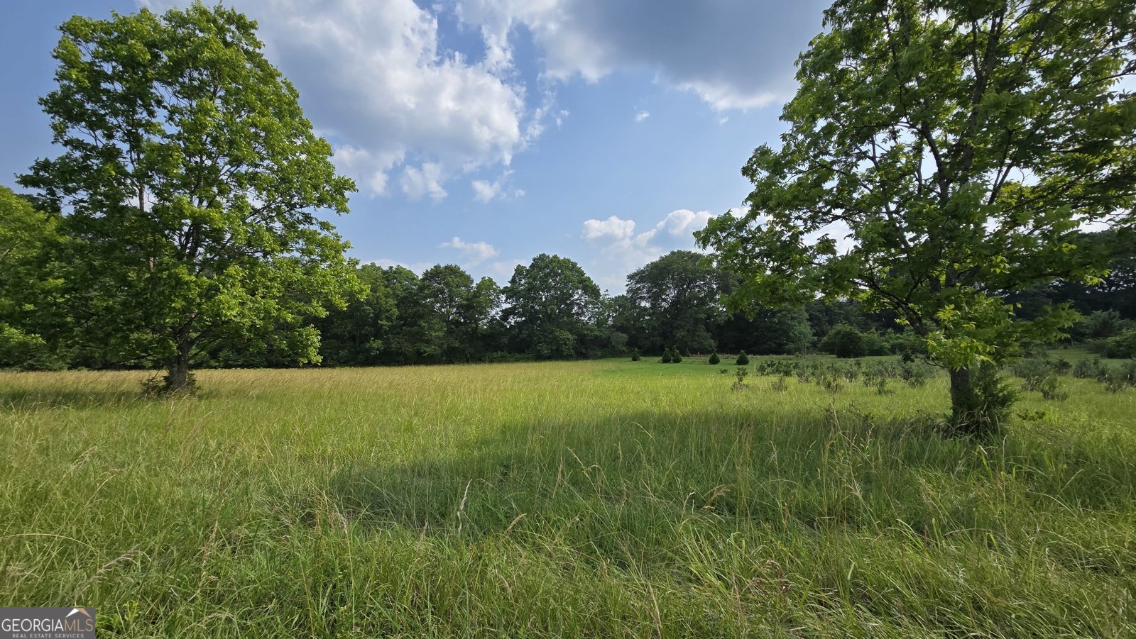 2037 Jeff Davis Road Thomaston - 37