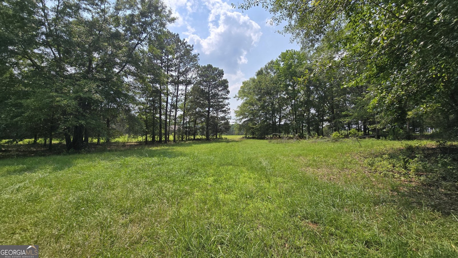 2037 Jeff Davis Road Thomaston - 39