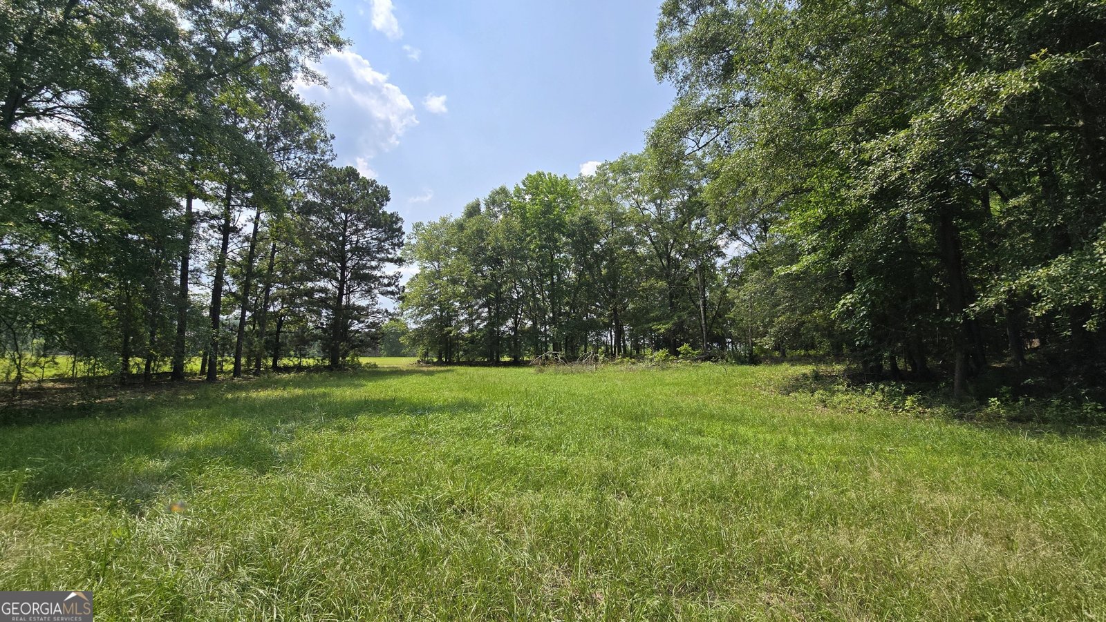 2037 Jeff Davis Road Thomaston - 40