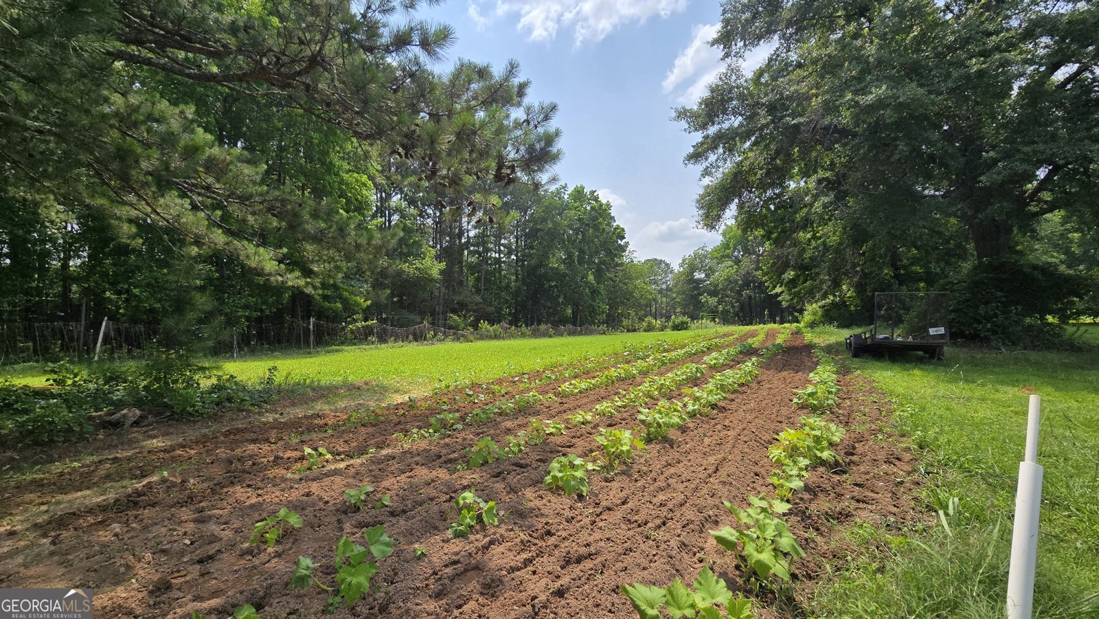 2037 Jeff Davis Road Thomaston - 48