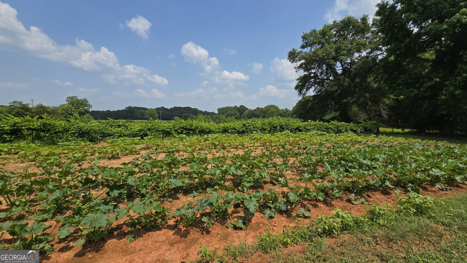 2037 Jeff Davis Road Thomaston - 49