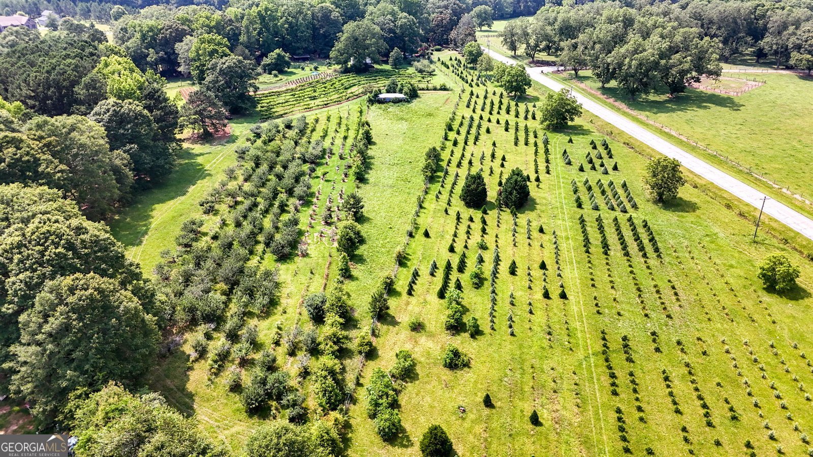 2037 Jeff Davis Road Thomaston - 5