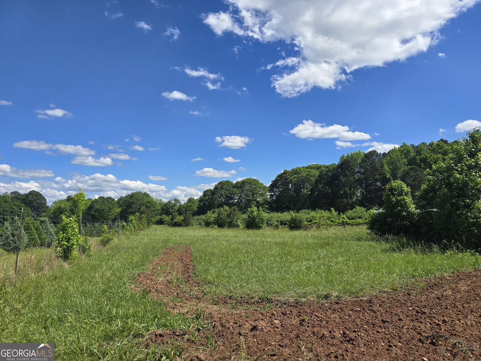 2037 Jeff Davis Road Thomaston - 52