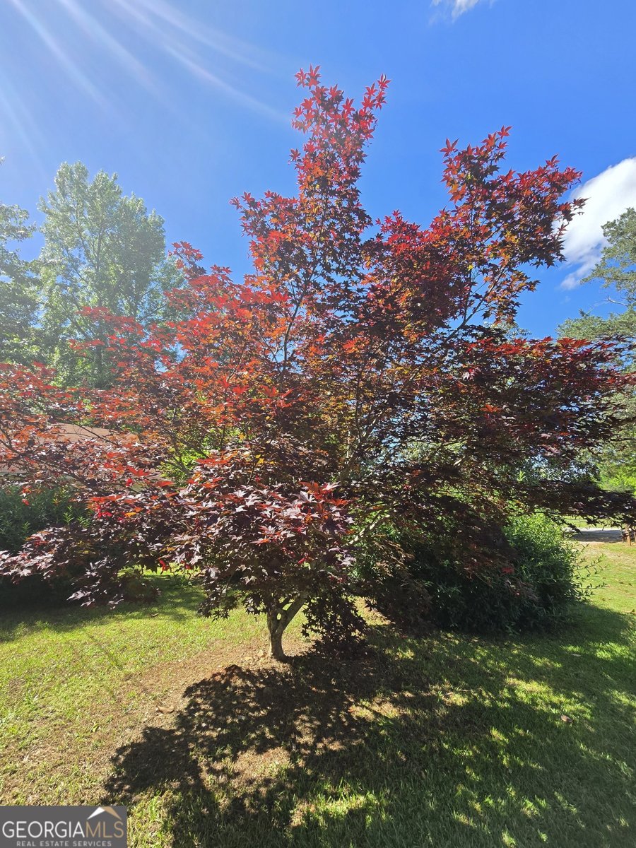 2037 Jeff Davis Road Thomaston - 53