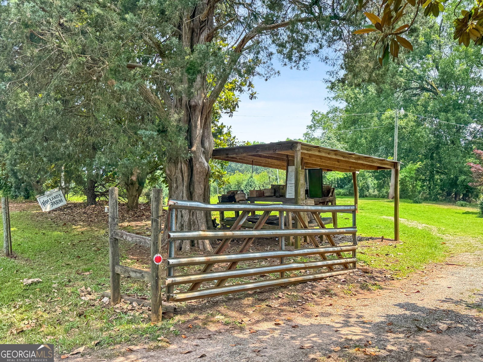 2037 Jeff Davis Road Thomaston - 59