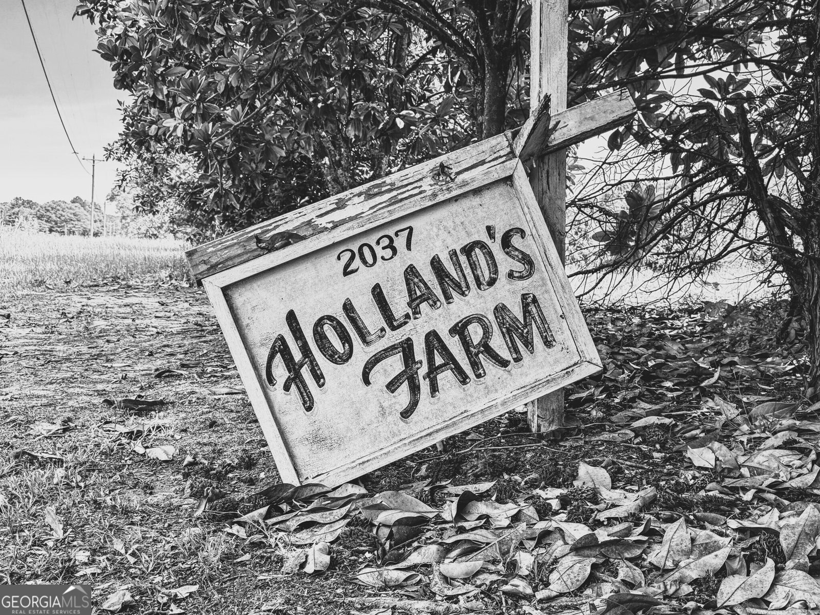 2037 Jeff Davis Road Thomaston - 60