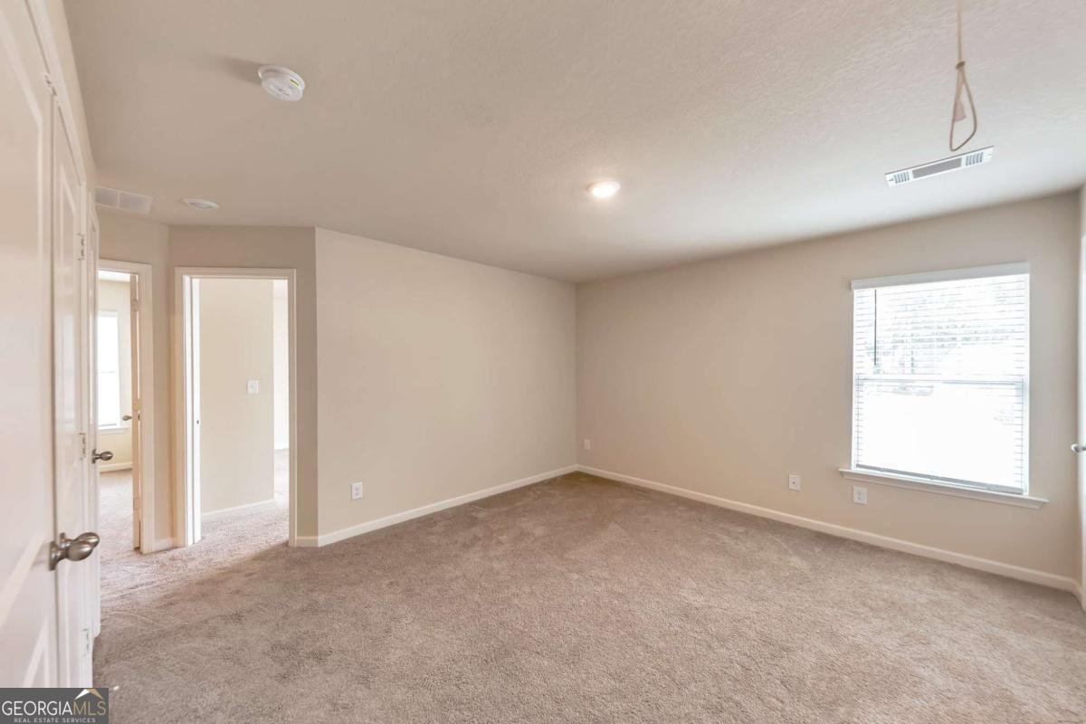 513 Moline Way Locust Grove - 11