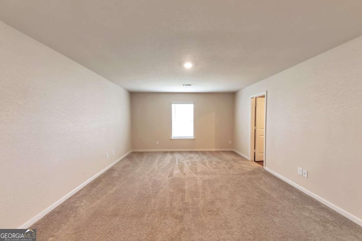 513 Moline Way Locust Grove - 18
