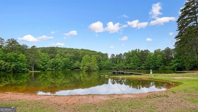 411 MOUNTAIN VIEW Lane Woodstock - 61