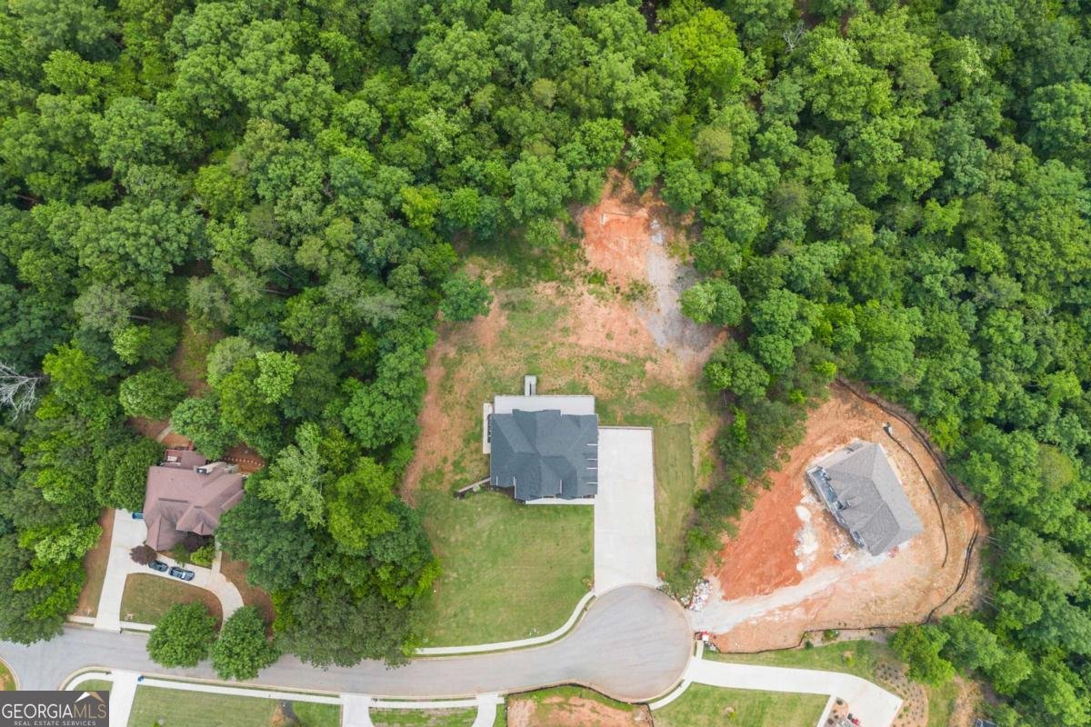 7519 WATERVIEW Cove Douglasville - 46