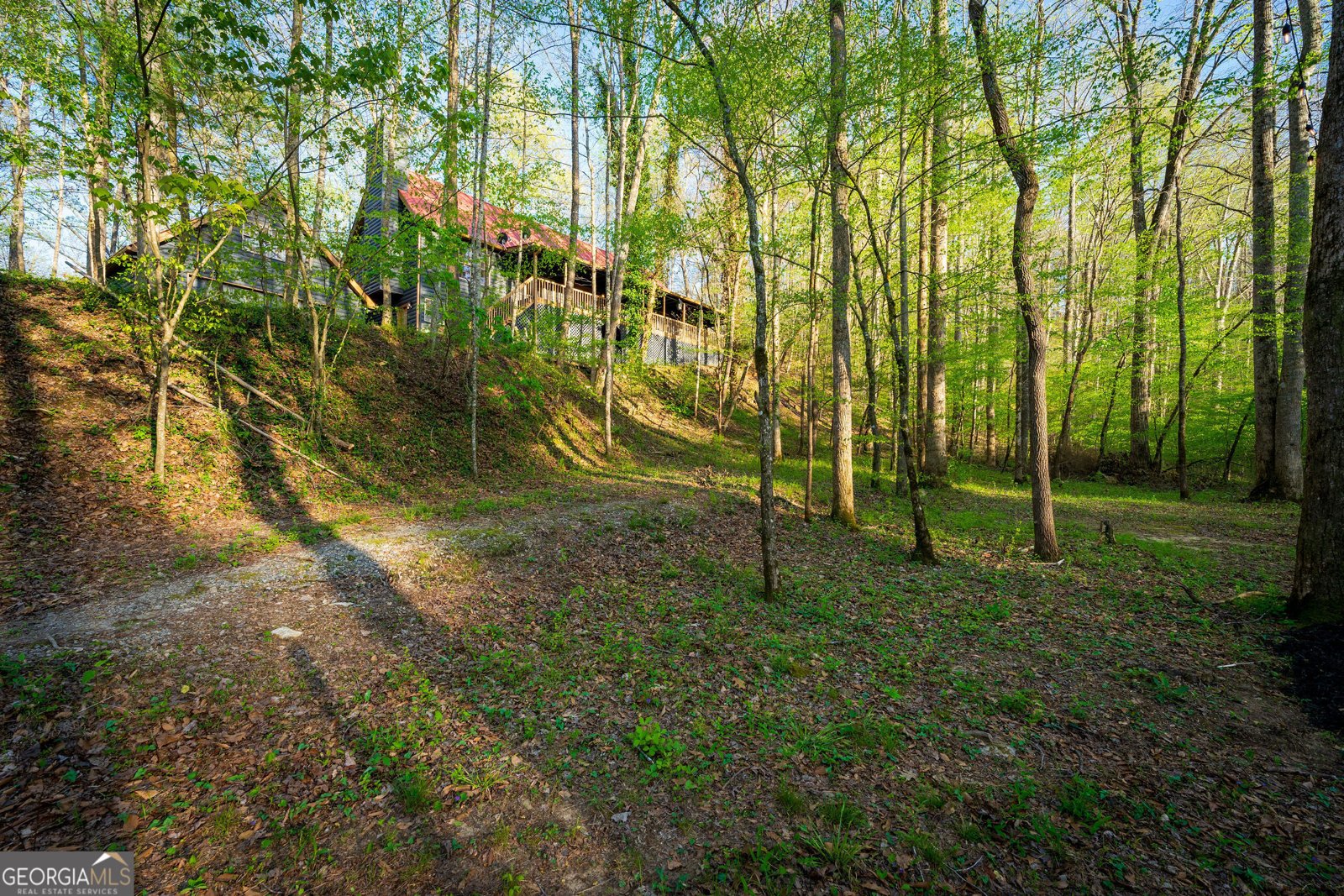 225 Angels Way Dahlonega - 105