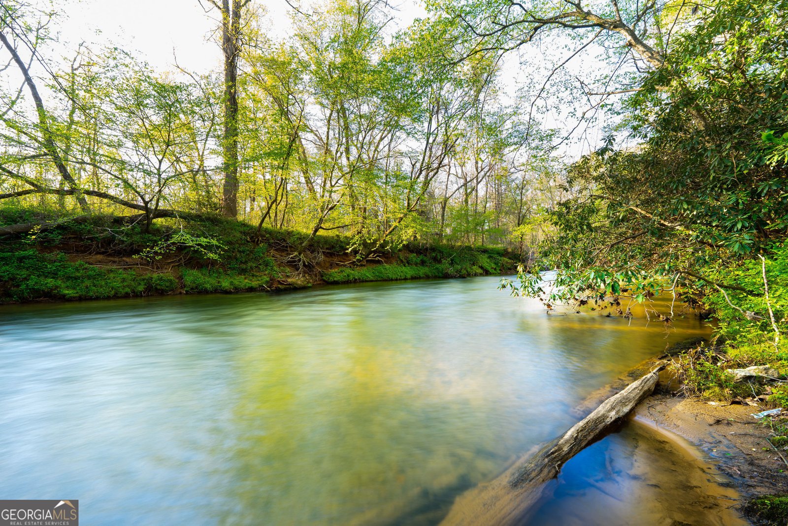 225 Angels Way Dahlonega - 2