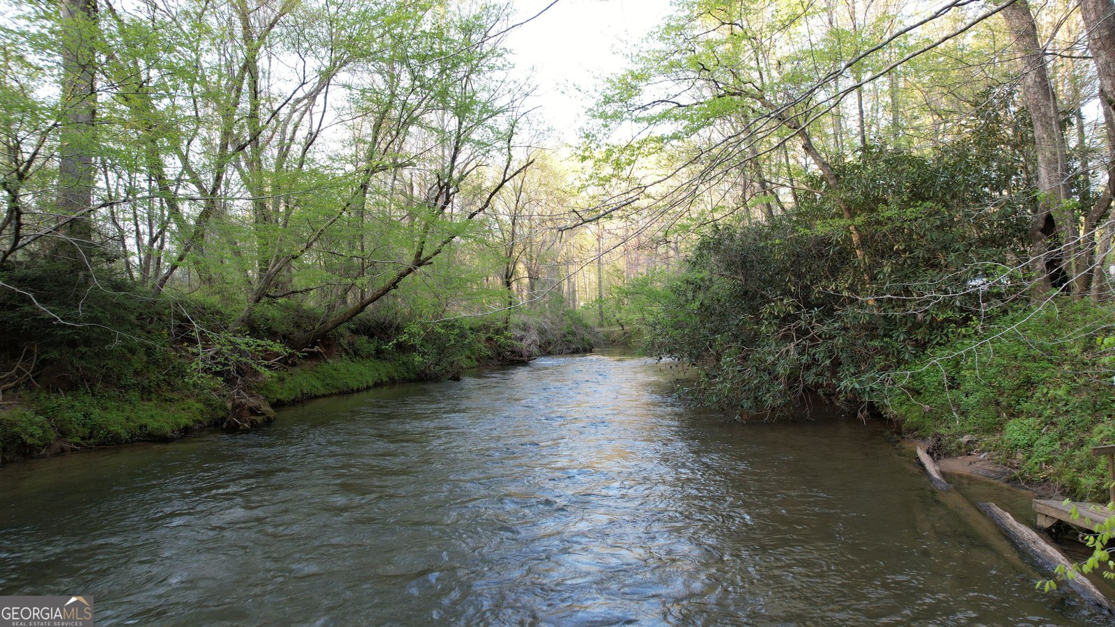 225 Angels Way Dahlonega - 3