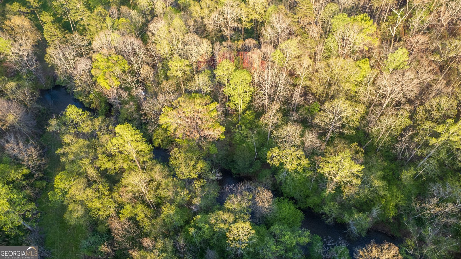 225 Angels Way Dahlonega - 55
