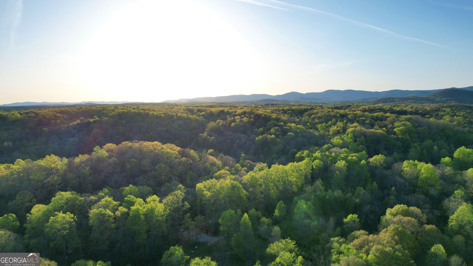 225 Angels Way Dahlonega - 58