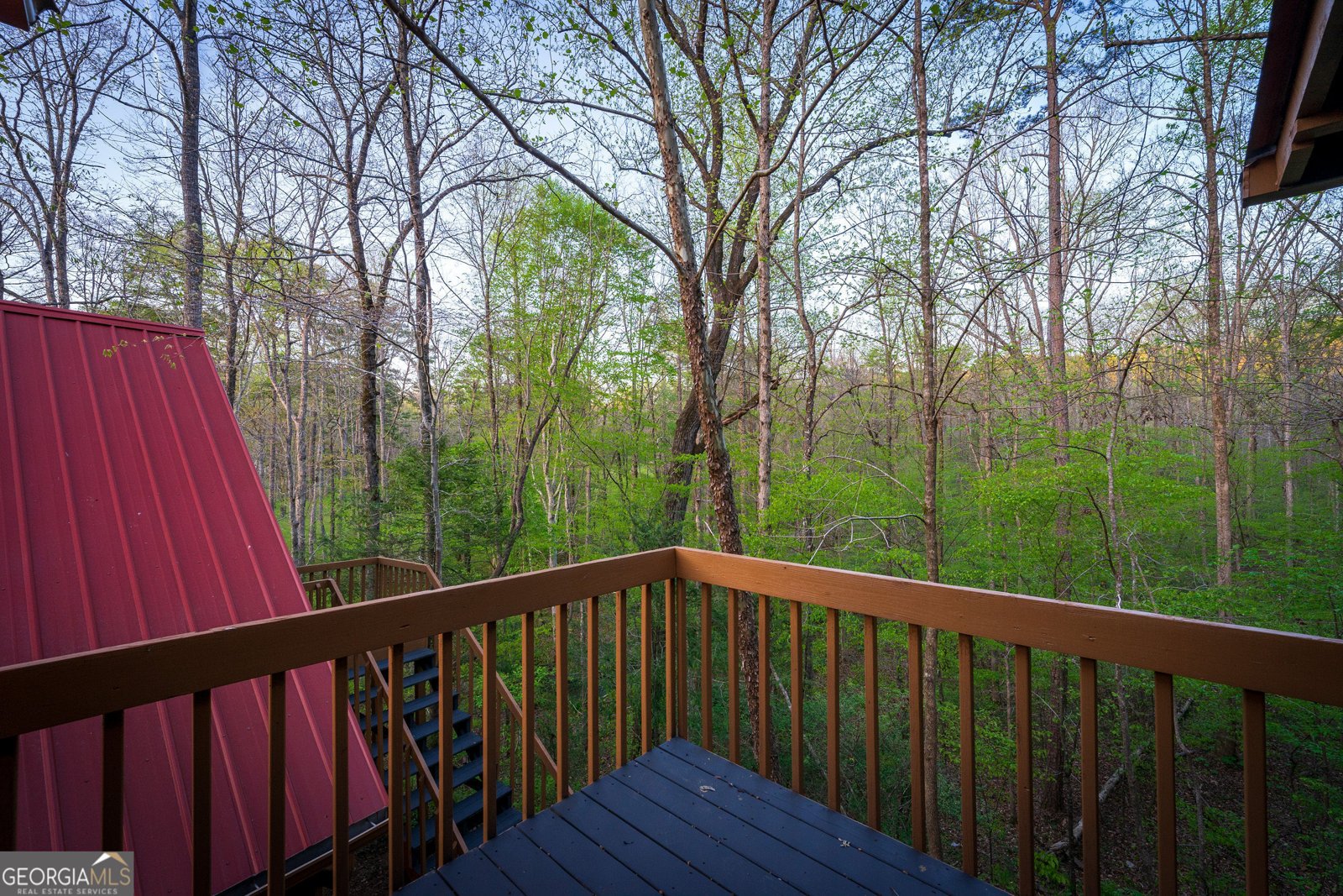 225 Angels Way Dahlonega - 66