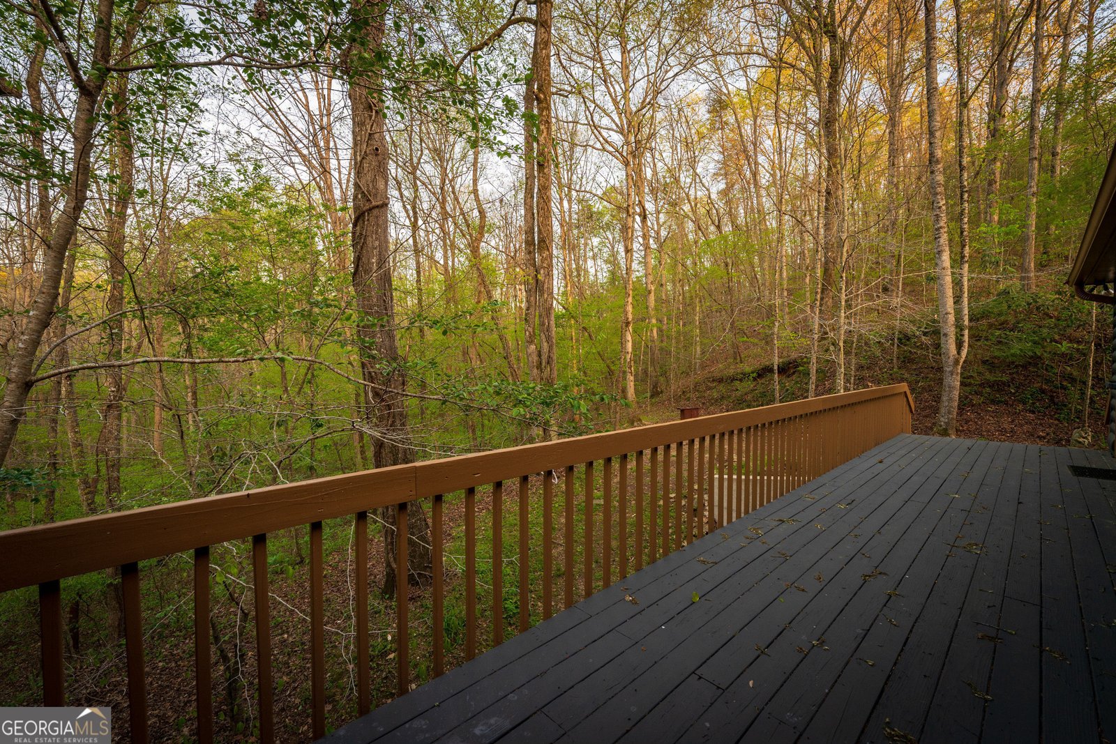 225 Angels Way Dahlonega - 67