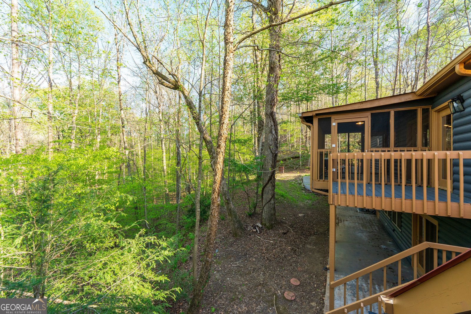 225 Angels Way Dahlonega - 79