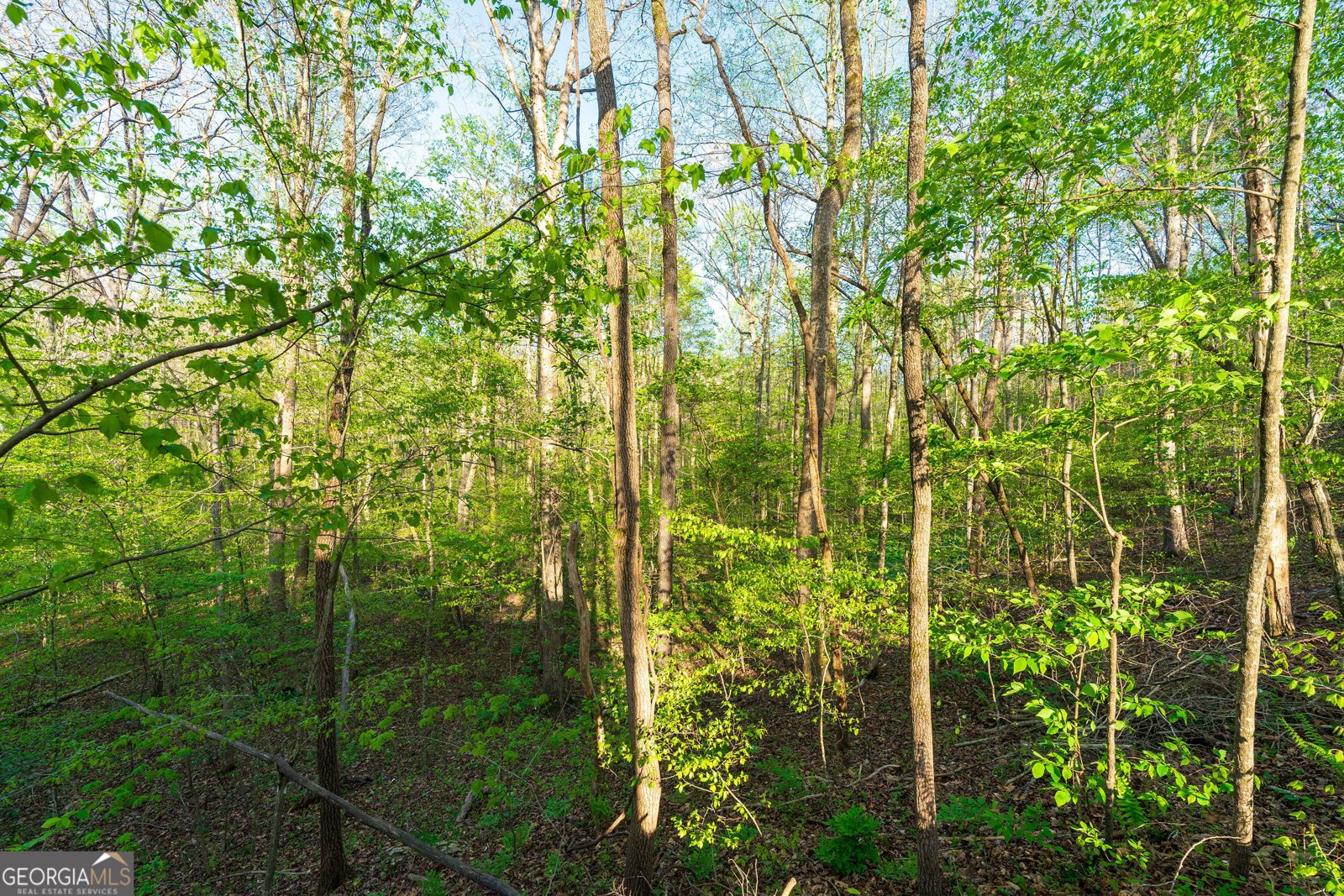 225 Angels Way Dahlonega - 83