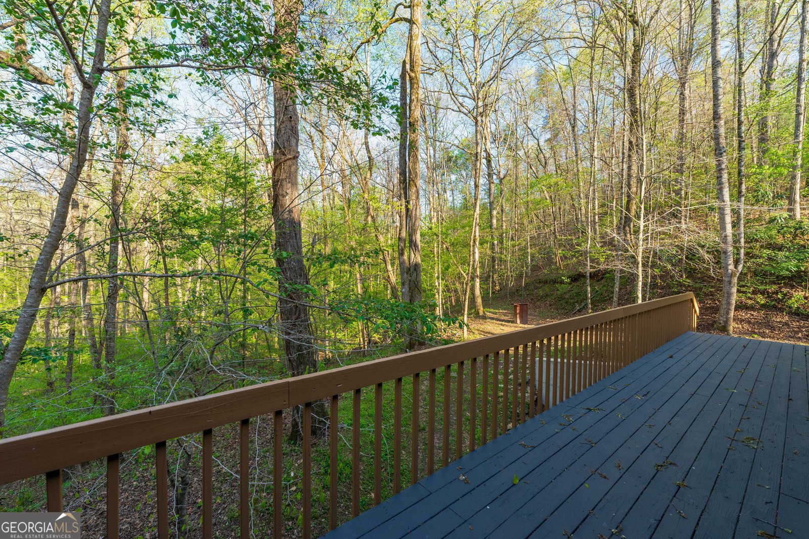 225 Angels Way Dahlonega - 85