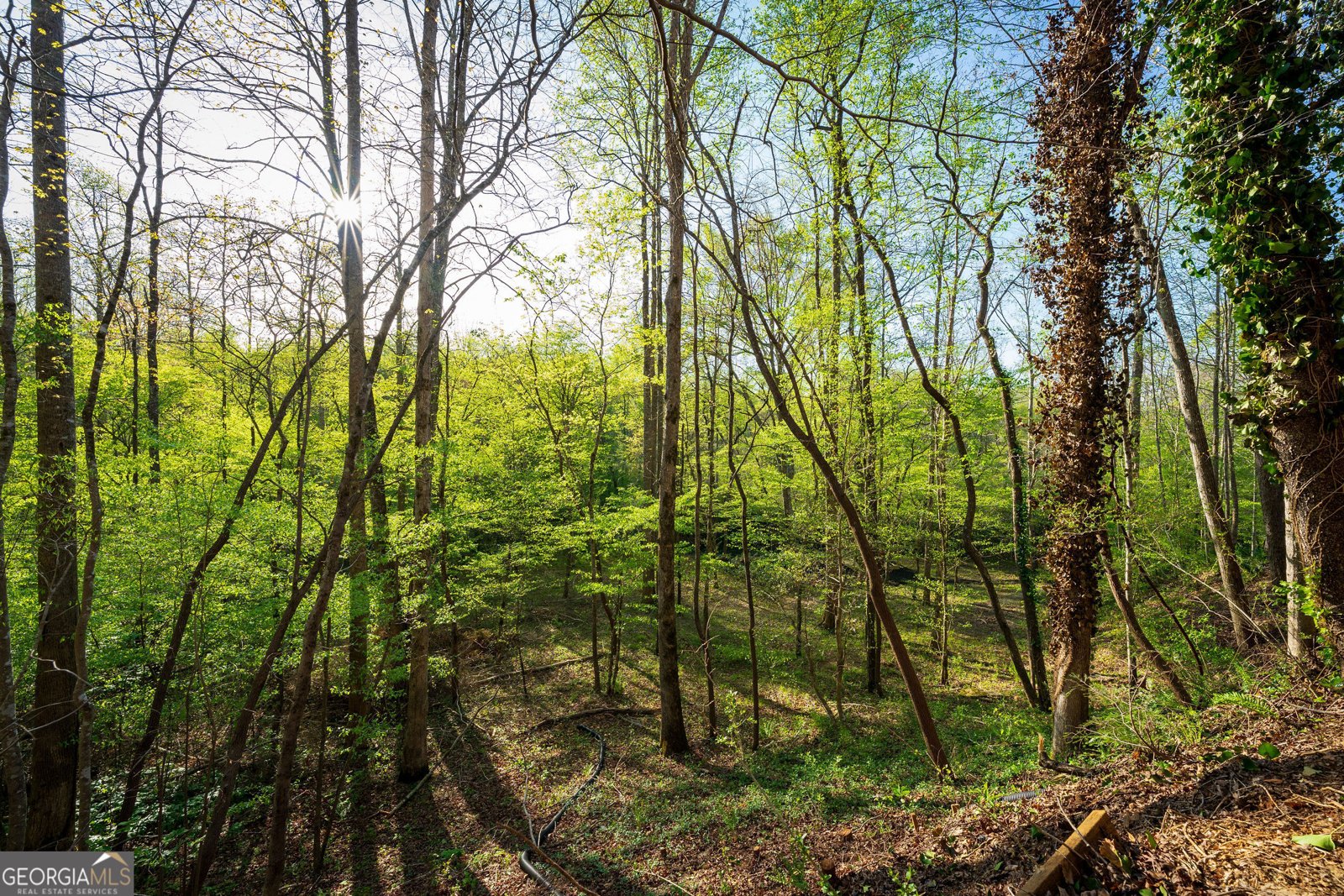 225 Angels Way Dahlonega - 87