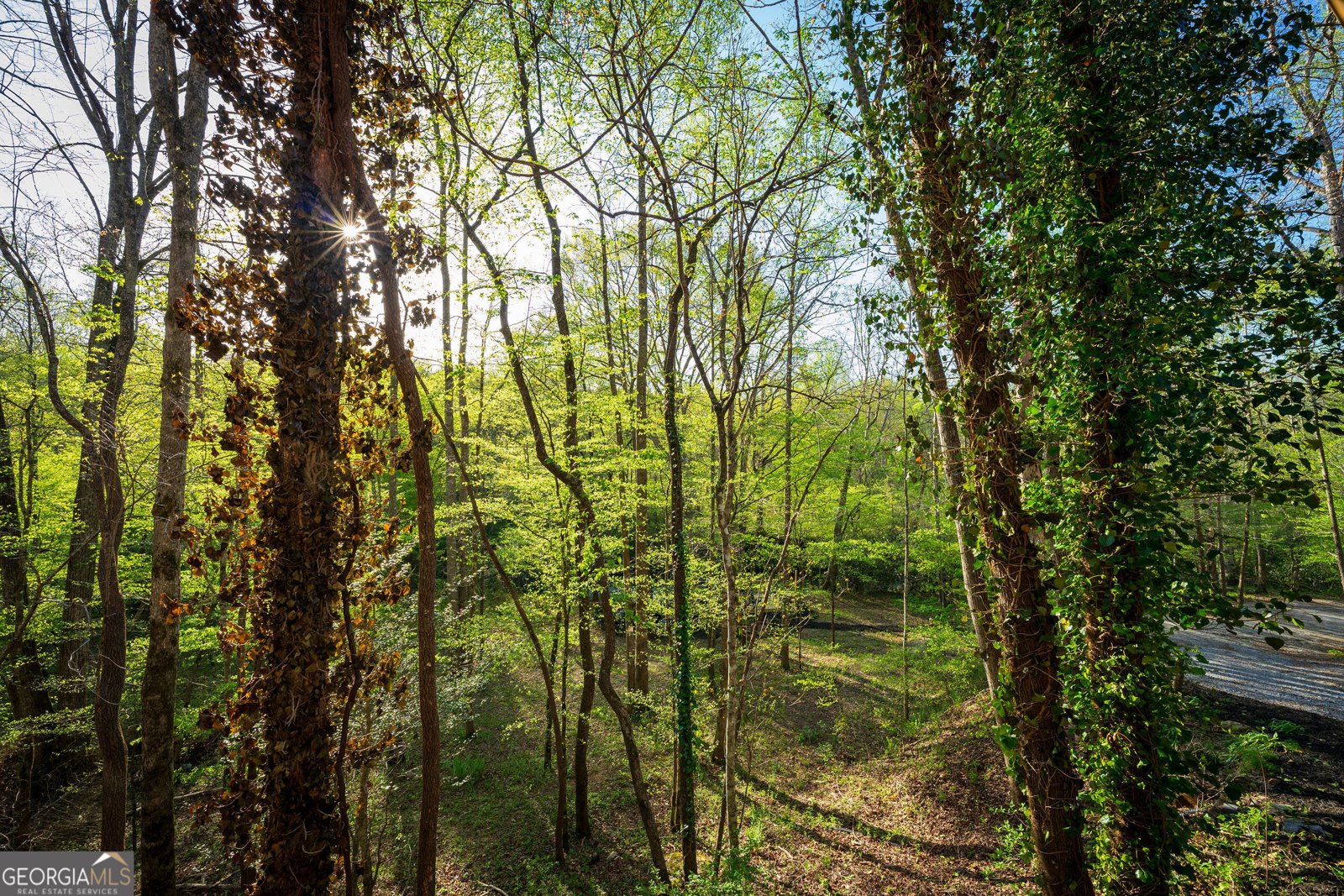 225 Angels Way Dahlonega - 93