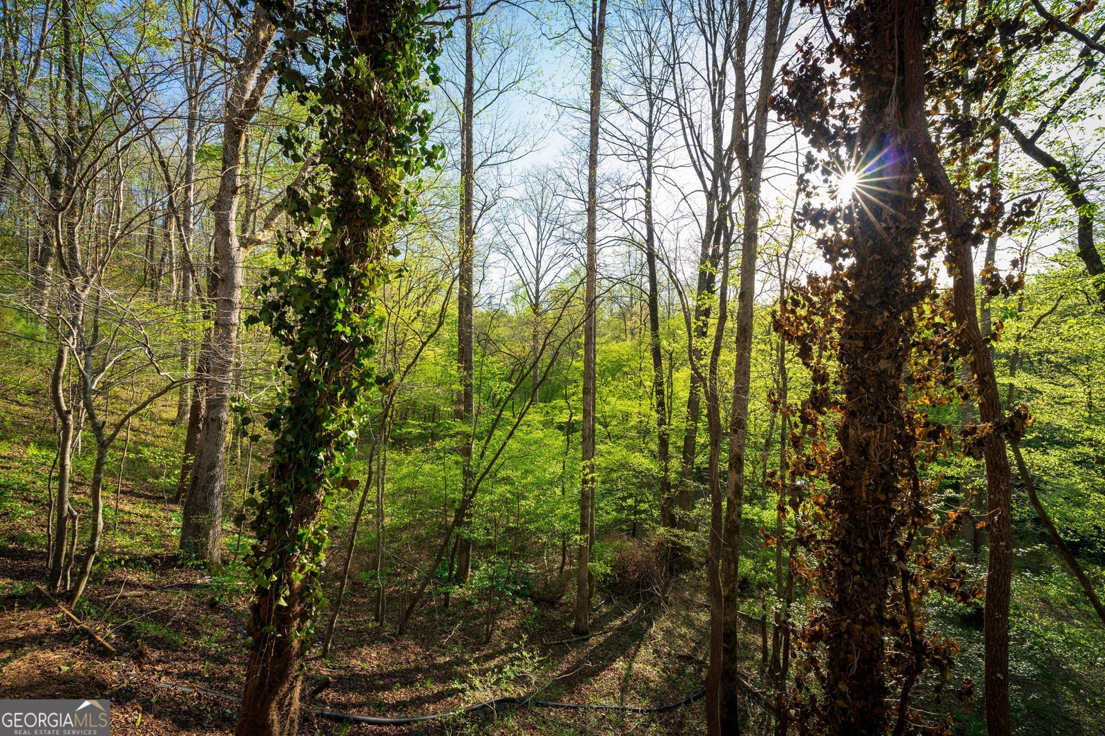 225 Angels Way Dahlonega - 94