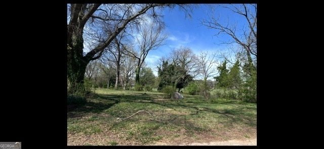 2556 Turkey Creek Road Carnesville - 23