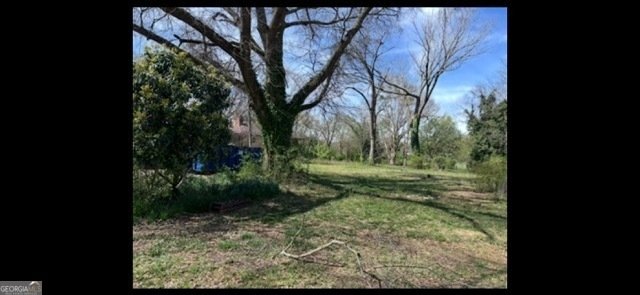 2556 Turkey Creek Road Carnesville - 8