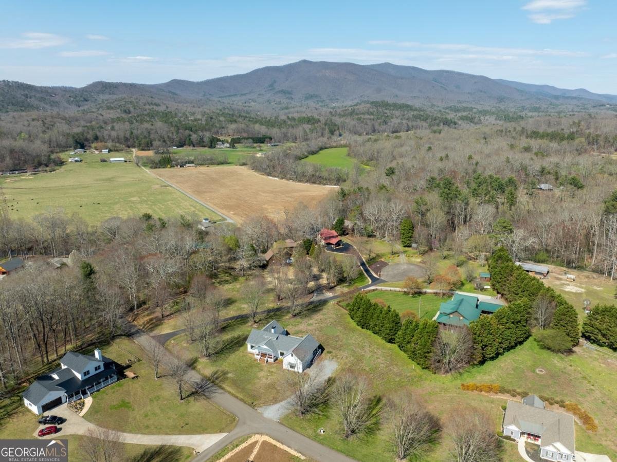 114 Cartecay River Run Ellijay - 56