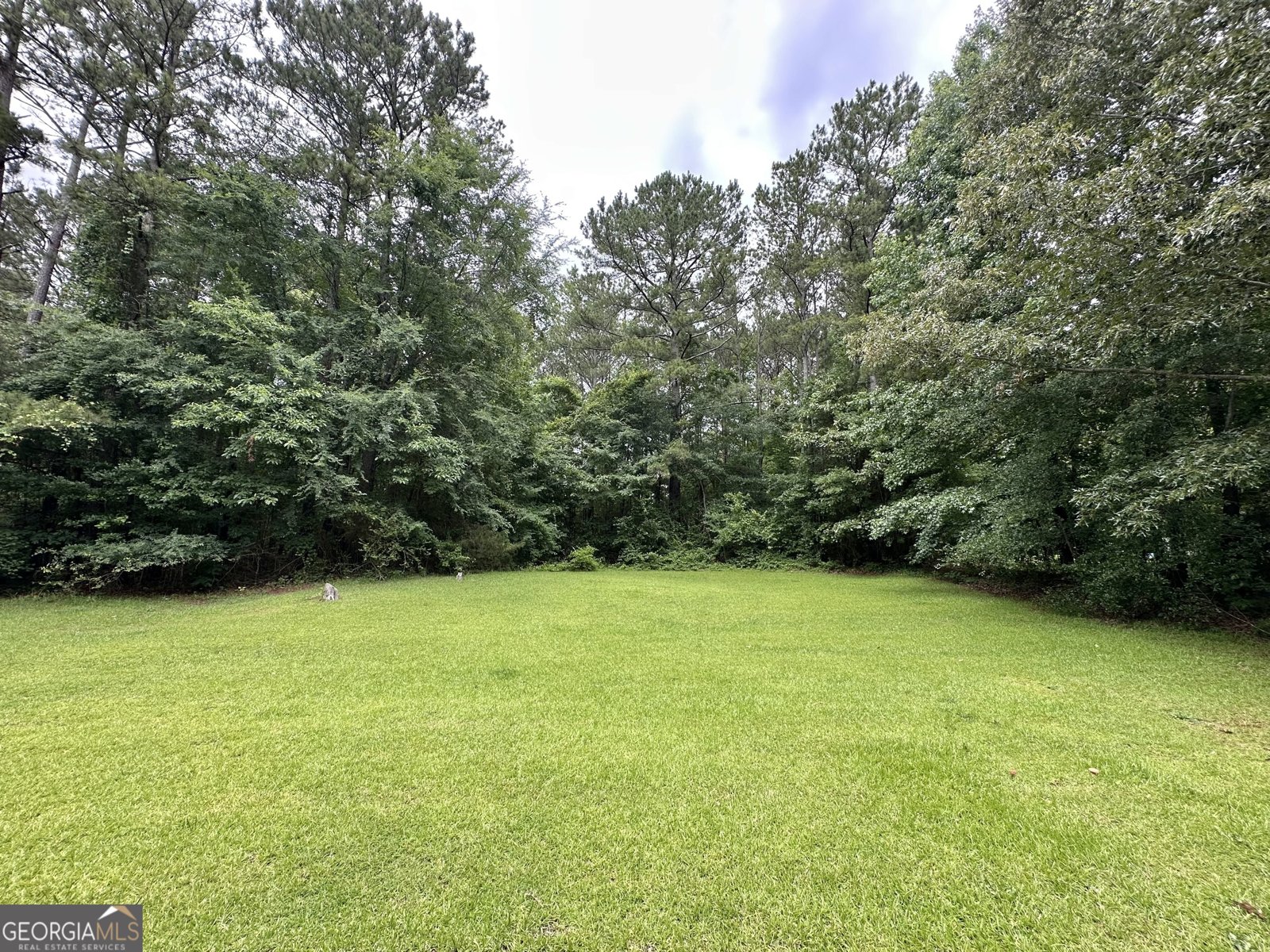 150 Willow Shoals Drive Covington - 10