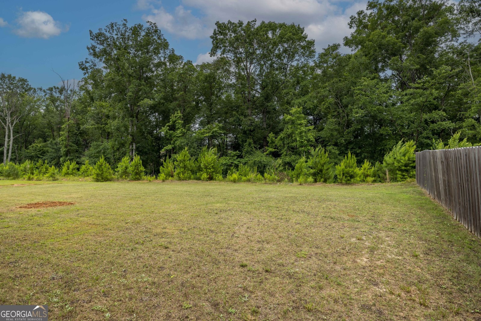 9929 Long Leaf Pine Drive Midland - 4