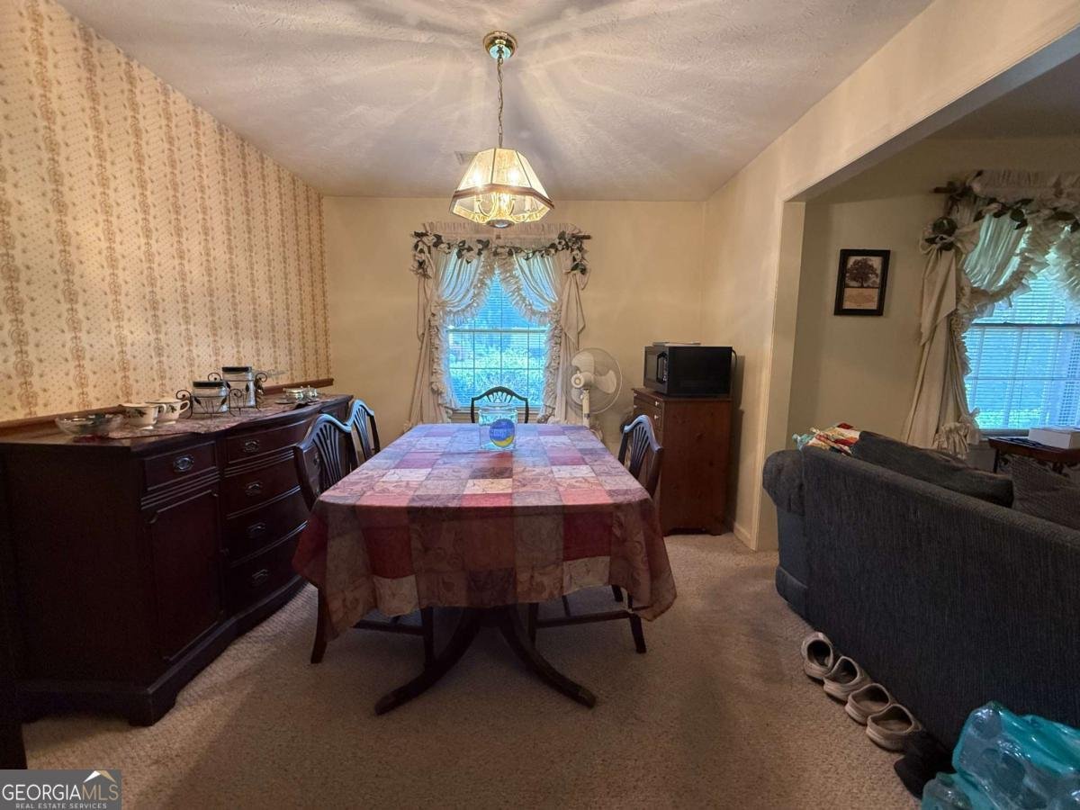 1046 Waterside Drive Conyers - 1