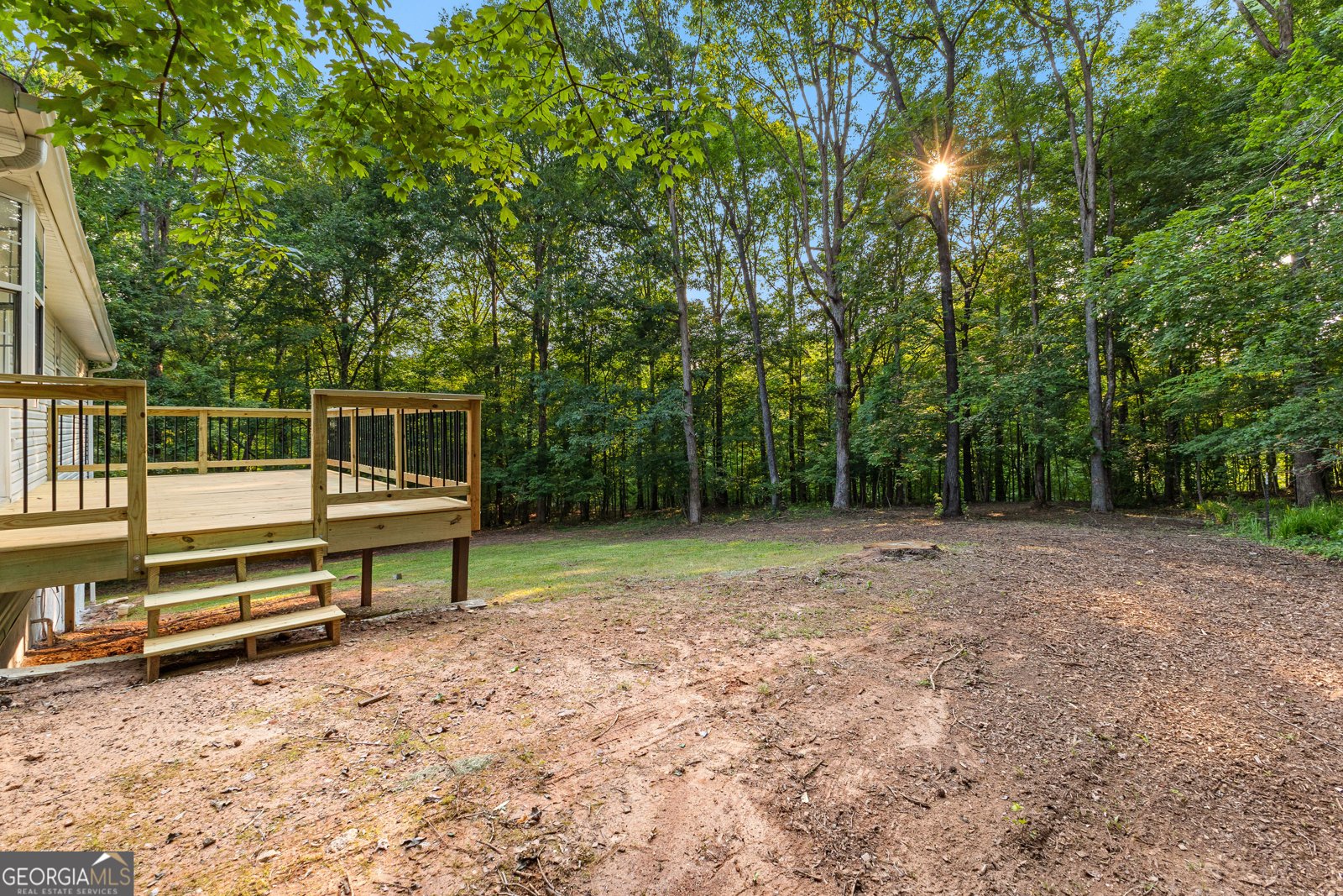 130 Redbud Court Senoia - 36