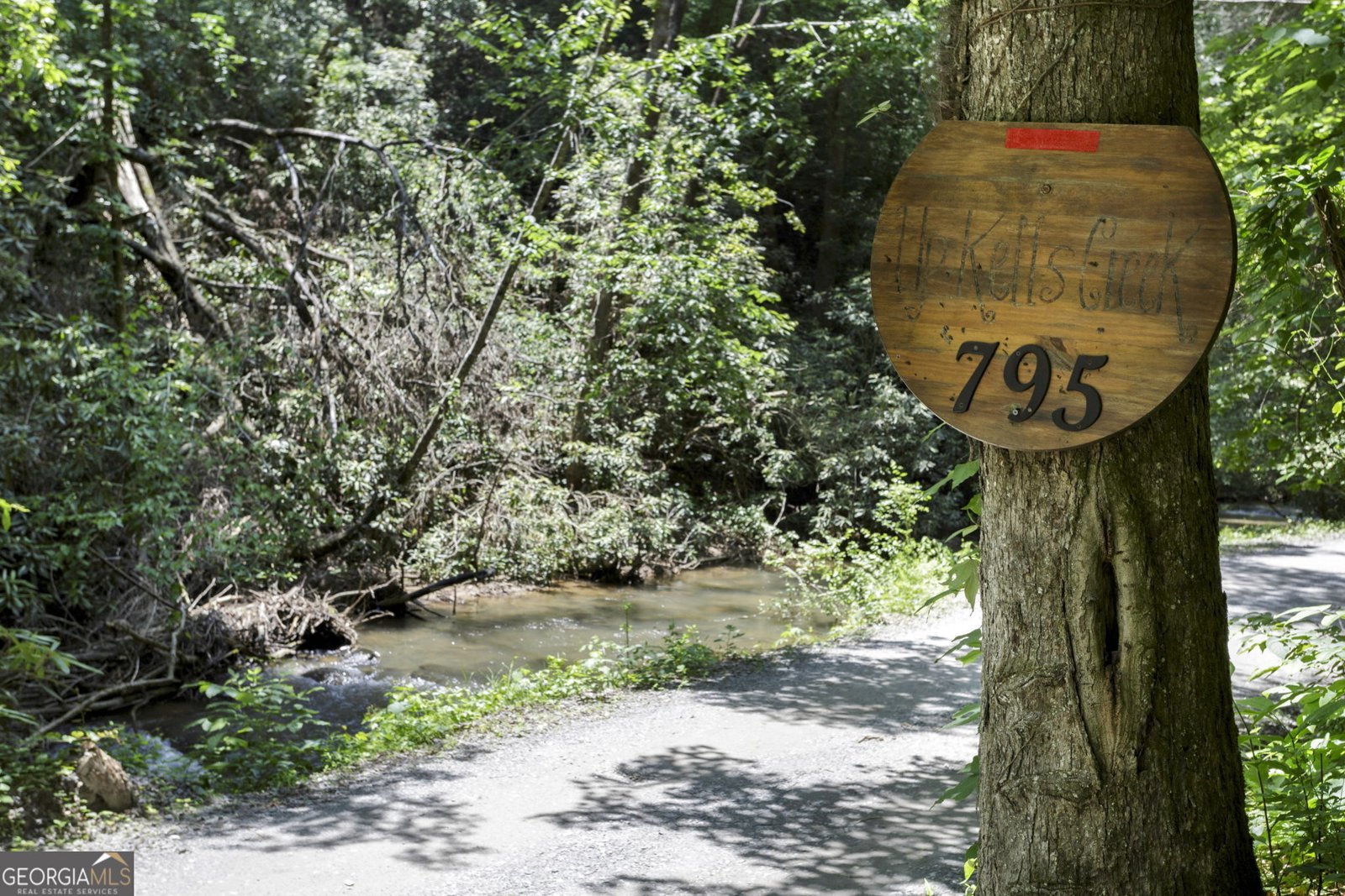795 Kells Ridge Drive Ellijay - 2