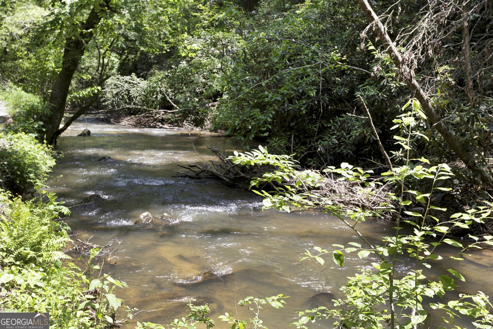 795 Kells Ridge Drive Ellijay - 33