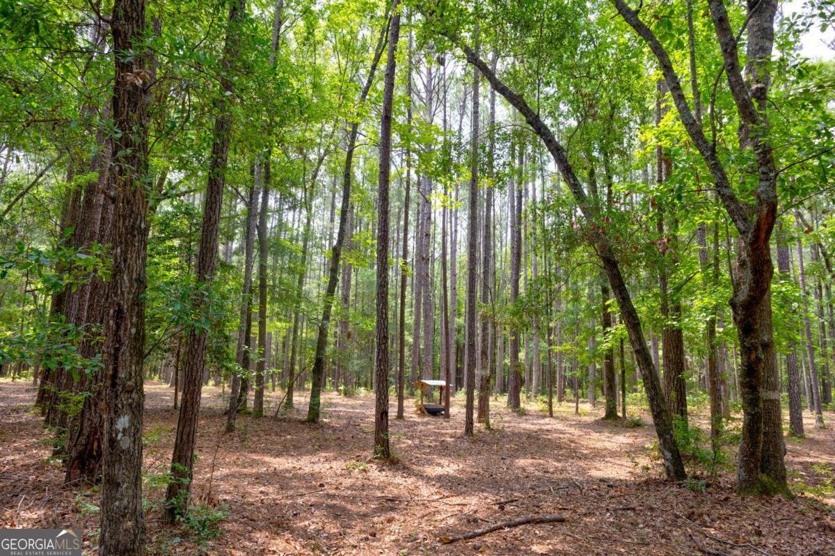 4000 Old River Road Brooklet - 36