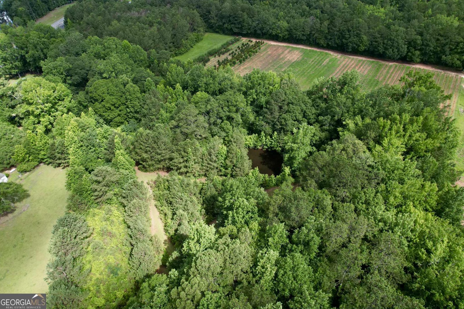 3600 US Highway 19 Zebulon - 15