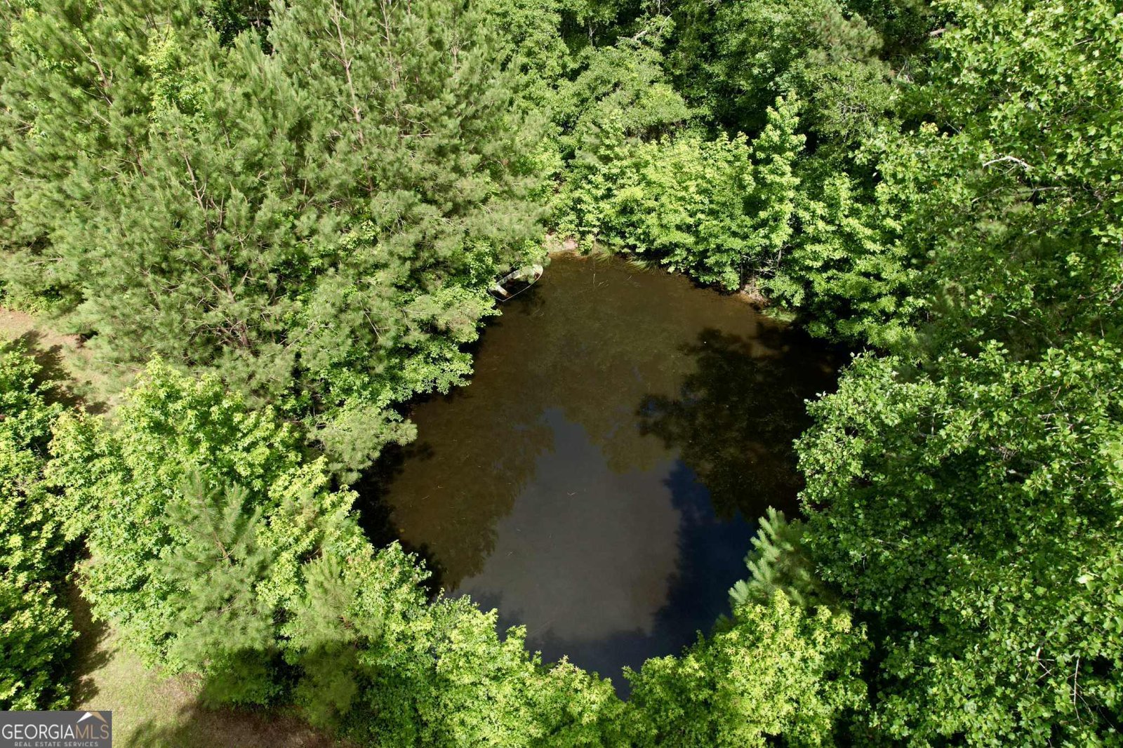 3600 US Highway 19 Zebulon - 9