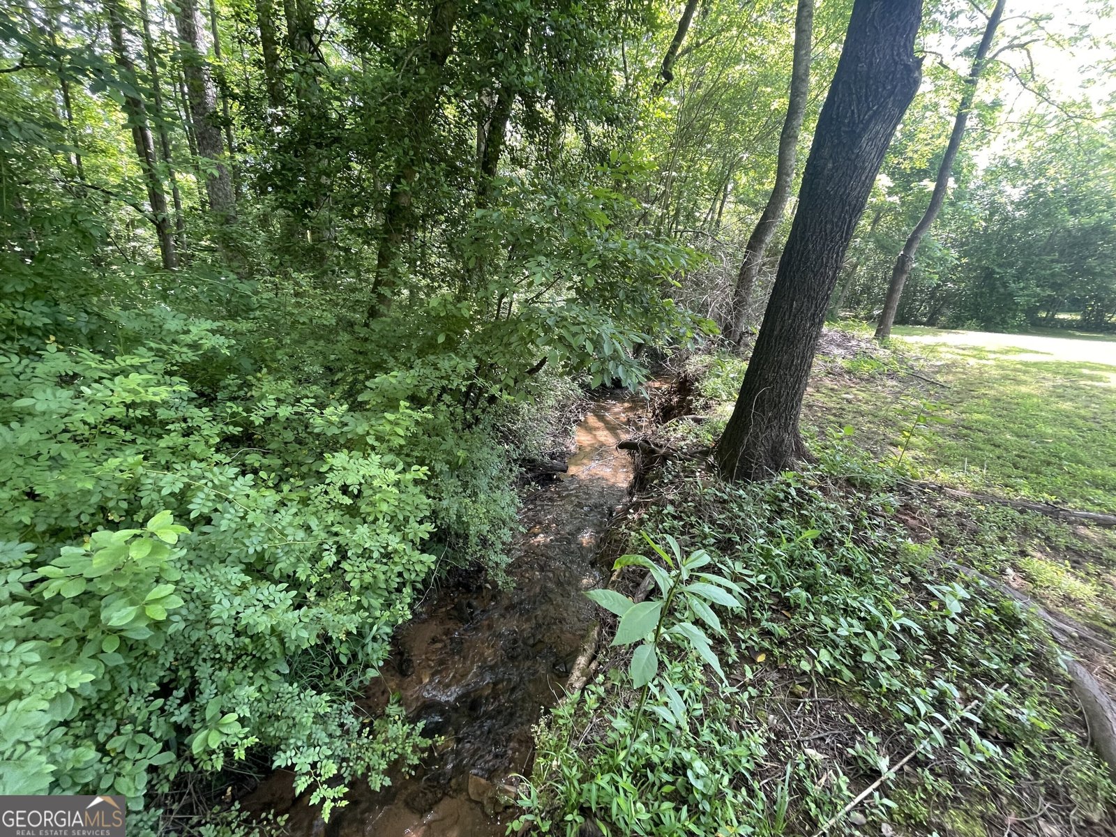424 Harkins Road Cleveland - 2