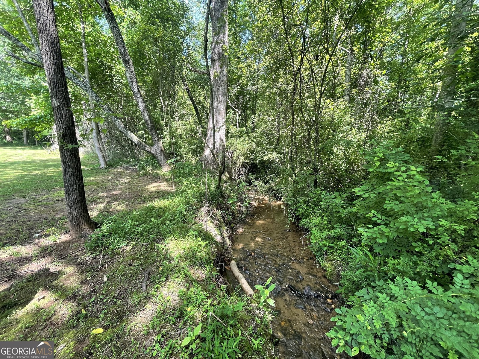 424 Harkins Road Cleveland - 3